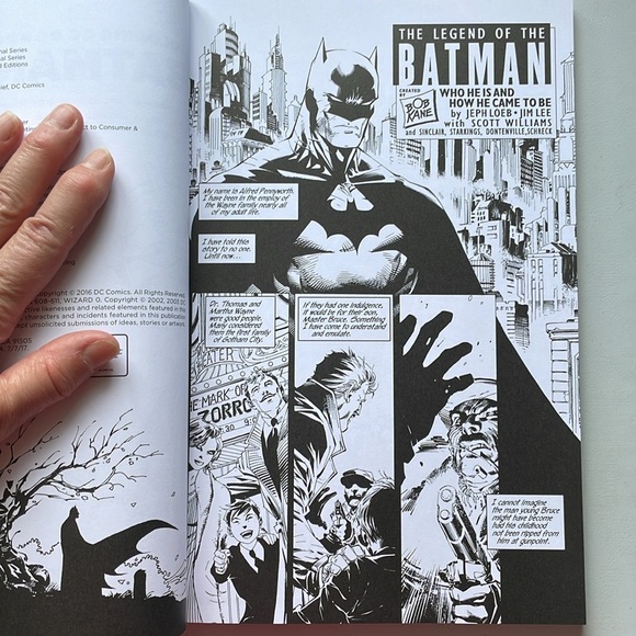 NOT ELIGIBLE FOR BUNDLE DEAL/SALE Coloring DC: Batman-Hush, Vol. 1 - Picture 8 of 12